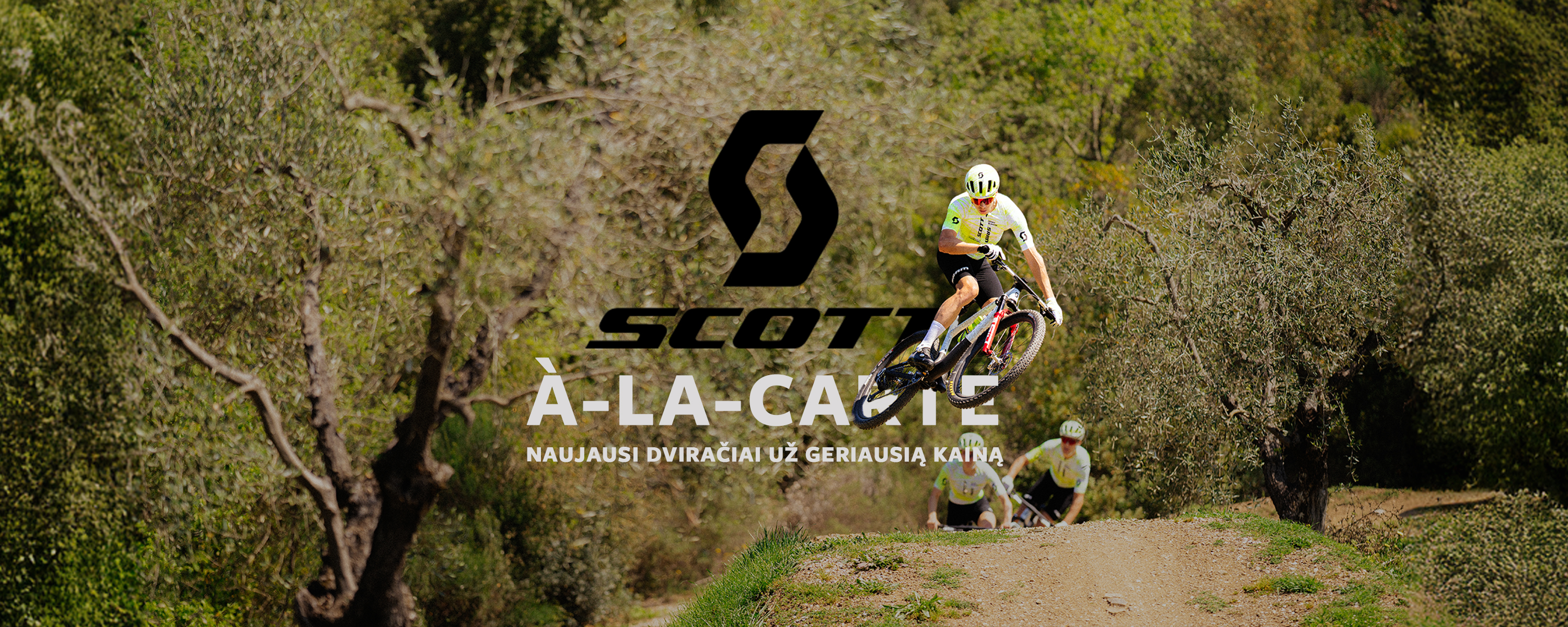 Alt874