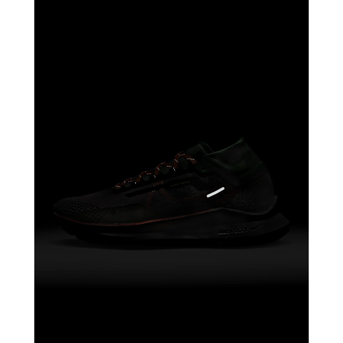 Nike Pegasus Trail 4 GTX W