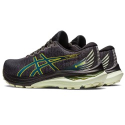 ASICS GT-2000 11 GTX vyriški bėgimo batai