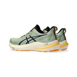 ASICS GT-2000 12 TR vyriški bėgimo batai