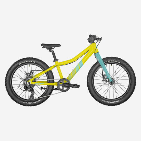 BERGAMONT BERGAMONSTER 20 PLUS | S-Sportas.lt