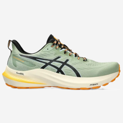 ASICS GT-2000 12 TR vyriški bėgimo batai