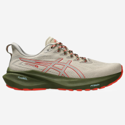 ASICS GT-2000 13 TR vyriški bėgimo batai