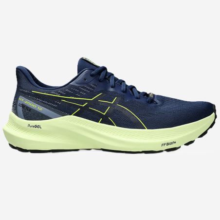 ASICS GT-2000 12 GTX vyriški bėgimo batai