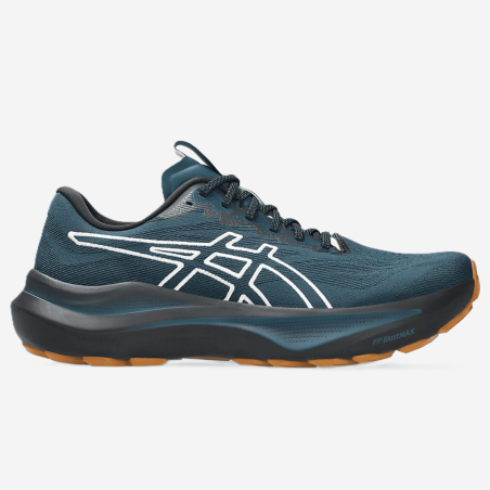 ASICS GT-2000 14 TR vyriški trail batai