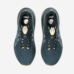 ASICS GT-2000 14 TR vyriški trail batai