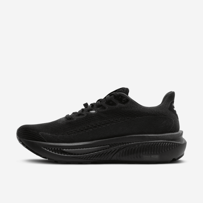 BROOKS GHOST 17 GTX vyriški bėgimo batai