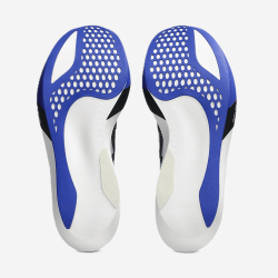 ASICS METASPEED SKY TOKYO plento bėgimo batai