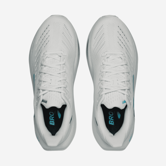 BROOKS GLYCERIN MAX 2 vyriški bėgimo batai | S-Sportas