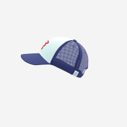 COMPRESSPORT TRUCKER | S-Sportas.lt