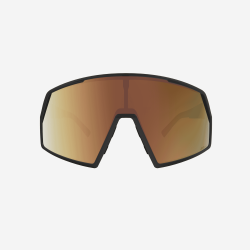 SCOTT PRO SHIELD LS sportiniai akiniai