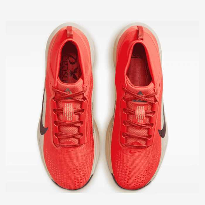 NIKE ACG PEGASUS TRAIL GTX vyriški bėgimo batai | S-Sportas