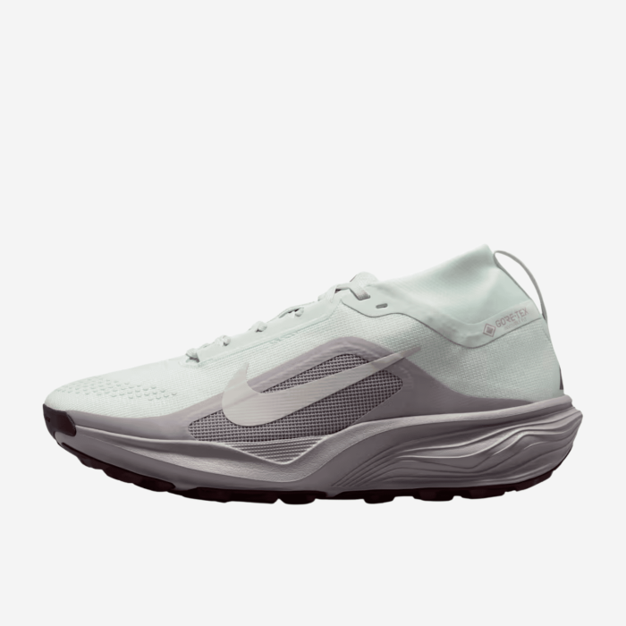 NIKE ACG PEGASUS TRAIL GTX moteriški bėgimo batai | S-Sportas
